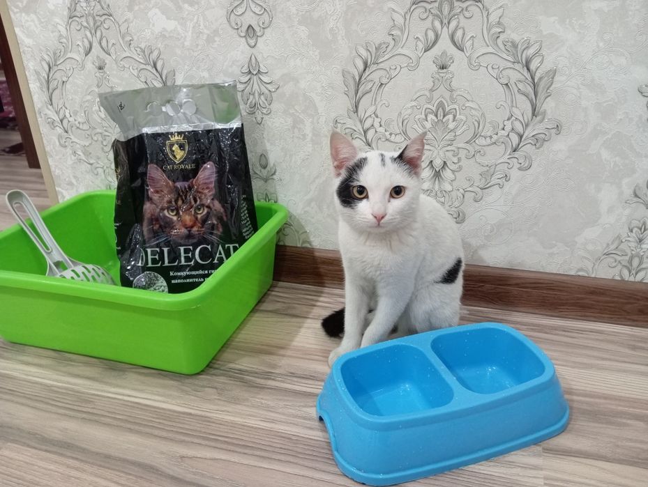 Мушук хадяга берилади