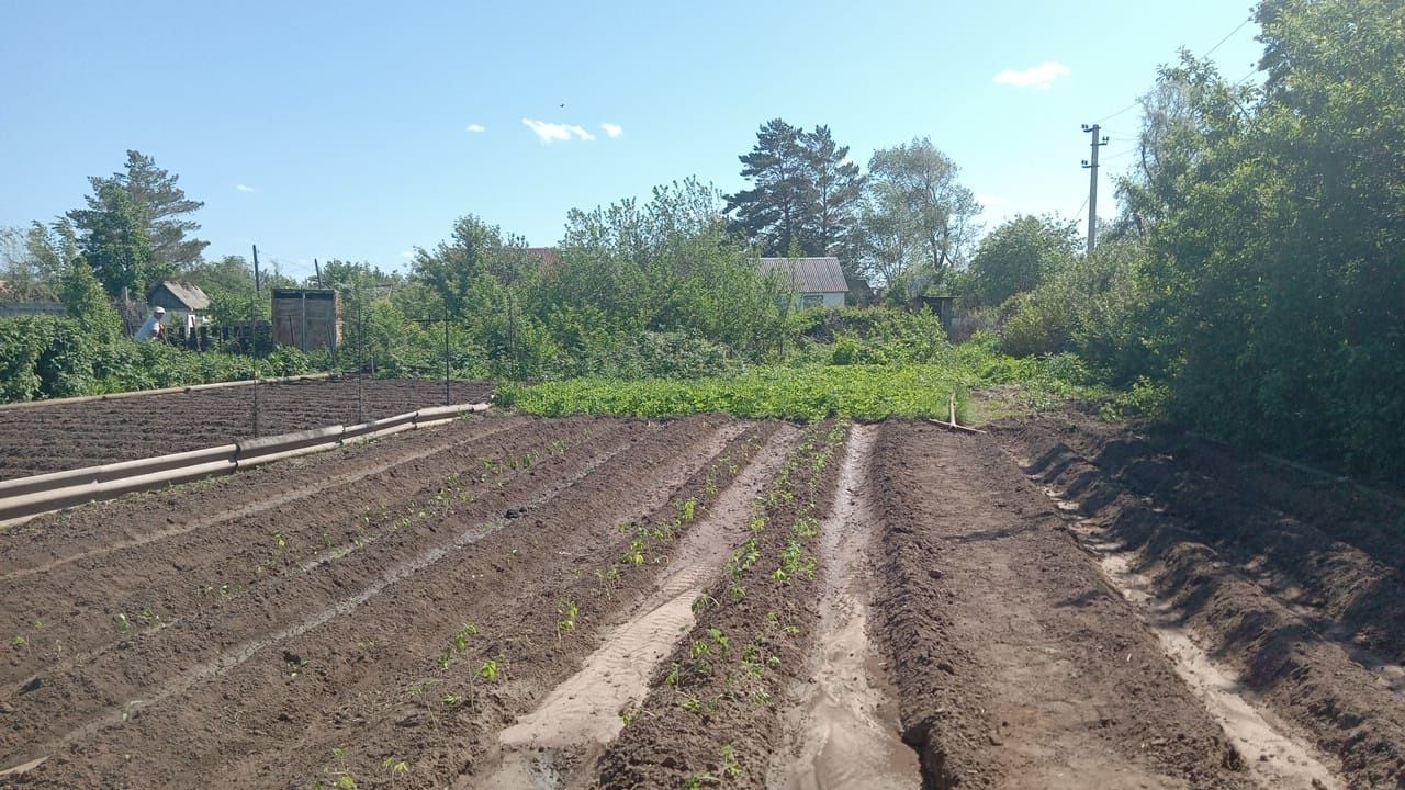 Дача в районе старого Мясокомбината по Нокина.