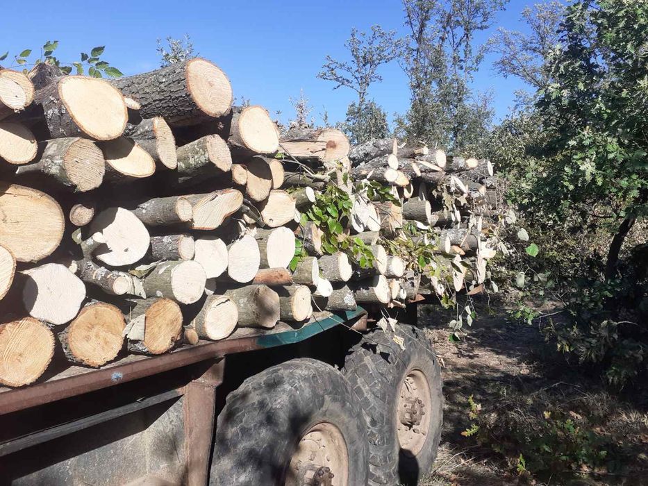 Дърва за огрев нарязани и нацепени и в чували