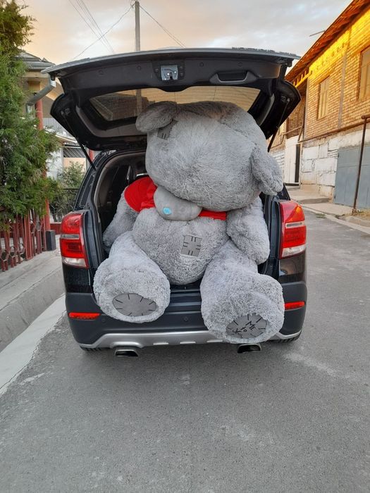 Srocna.1 yarm metr tedy ayiq