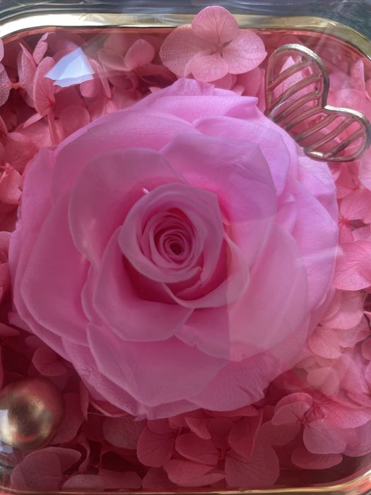 Cadou trandafir etern cu pandativ inima