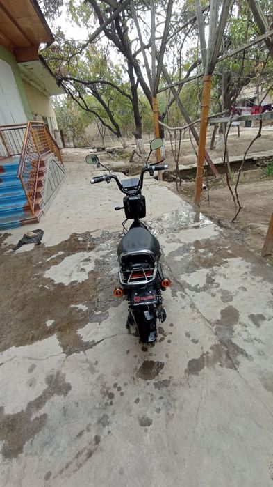 Pul zōril bōlganligiga