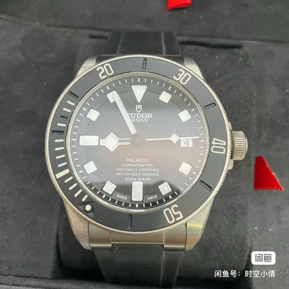Tudor Pelagos 500m