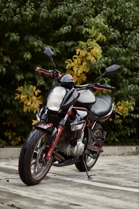 Kawasaki ER-6n 2007(A/A2)
