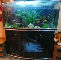 Продам аквариум в отличном состоянии