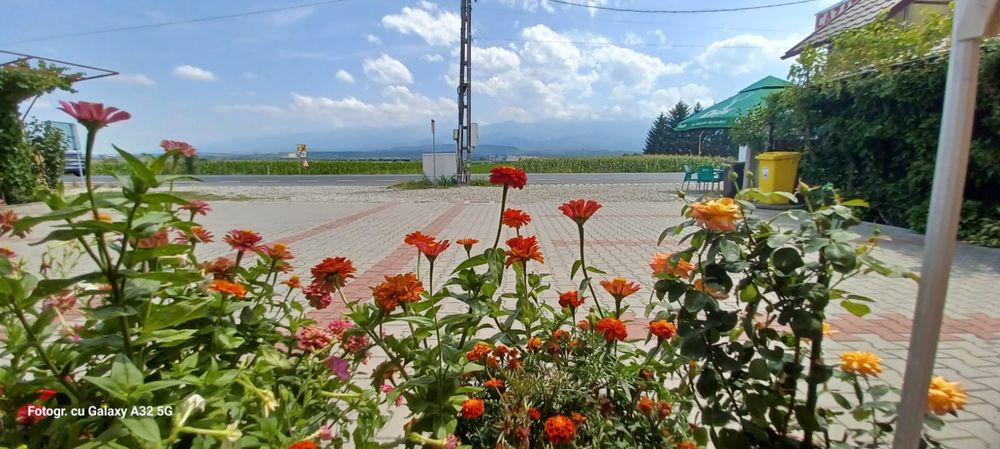 Închiriez cabana pentru revelion