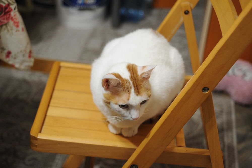 Обектив Никон Nikon Nikkor AI 35-70