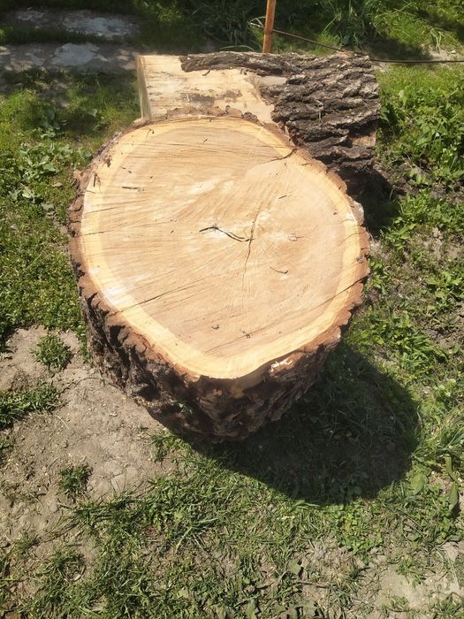 Продам дрова чурками тополь