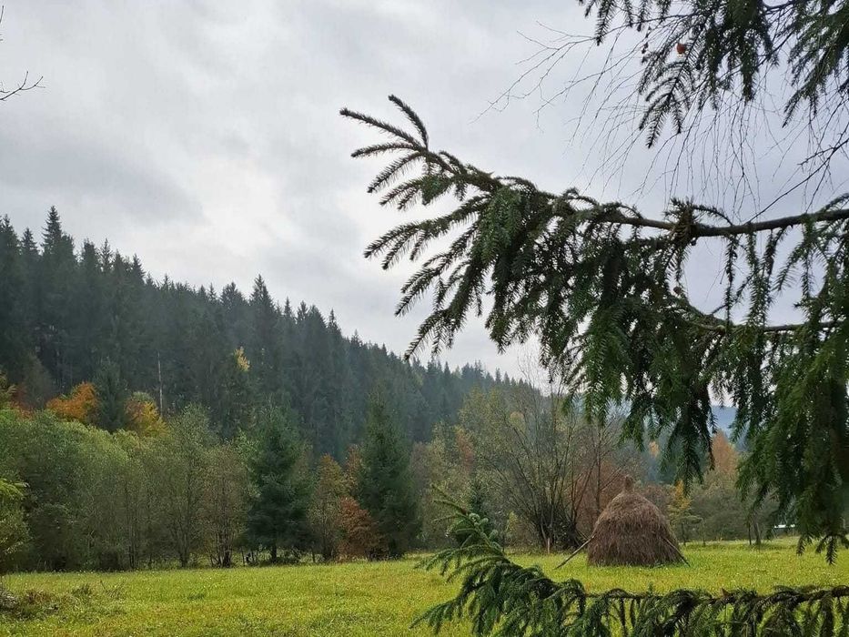 Cabana Grinties (10km de Durau) 6000mp intravilan + 1 ha padure