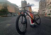 rockrider full custom