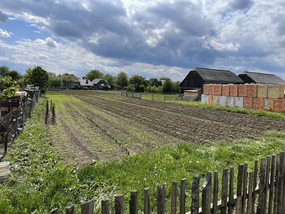 Vand teren intravilan pentru casa