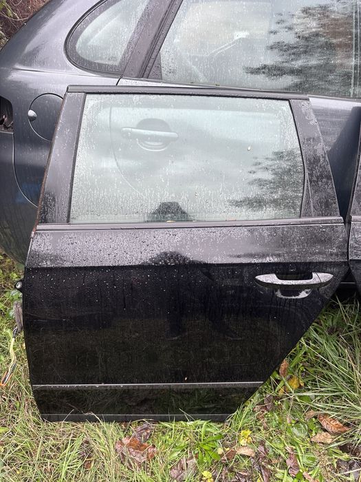 Задни Врати VW Passat B6 2010Година