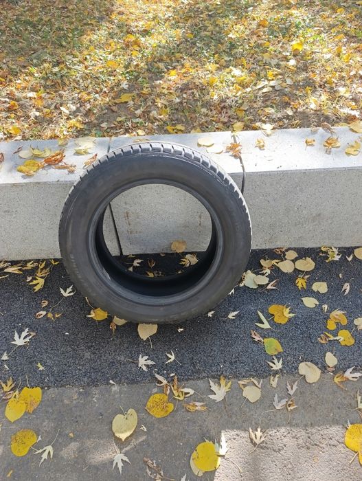 Anvelopă de vară Franța