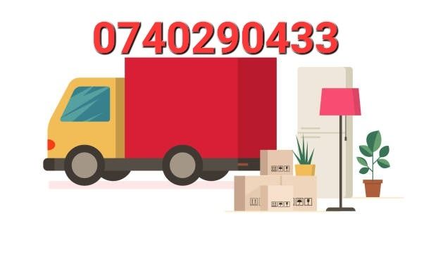 Debarasam, curatenie, golim,orice  spațiu:apartamente,case, birouri