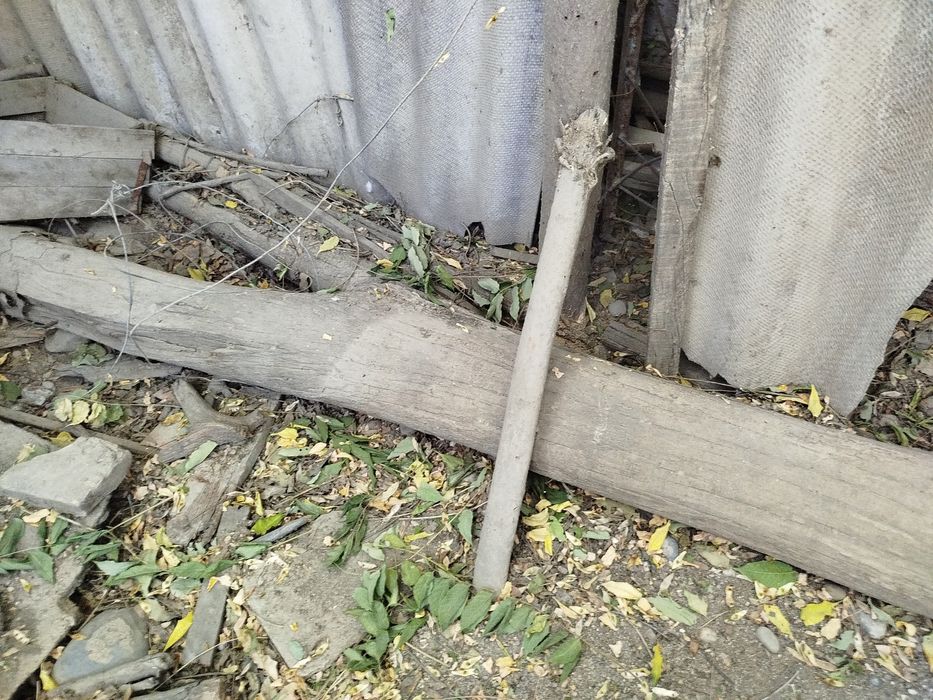 O'tin sotaman - mevali daraxtlar