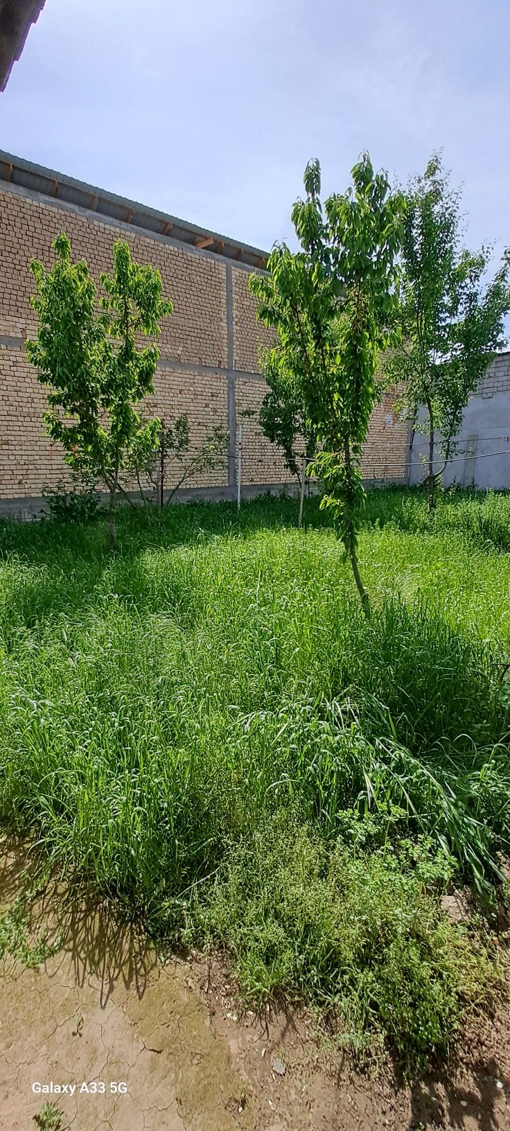 Ер содлади 6 сотиг сотиги 25500$