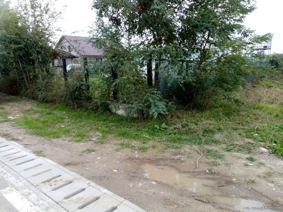 Teren de vanzare Letea Veche Bacau