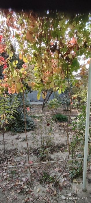 СРОЧНО! продаётся уч. 8 соток В Лимонарии!