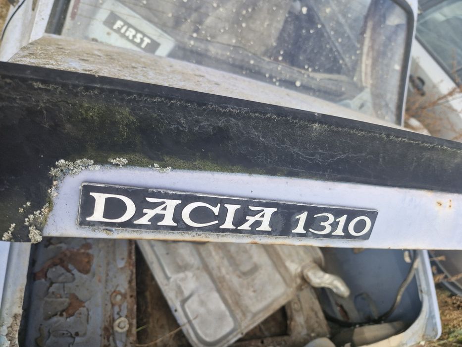 Portbagaj cu ornament dacia 1310