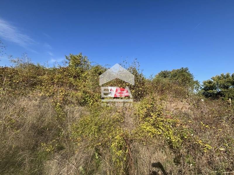 ЕКСКЛУЗИВНО! Два съседни парцела В РЕГУЛАЦИЯ в с. Здравец, обл. Варна