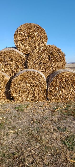 Vand Baloți de tulei