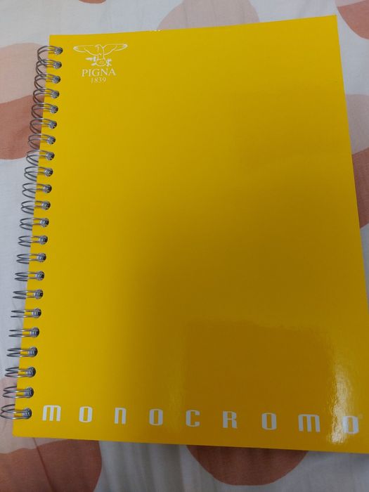 Caiet spiră A4 100 file