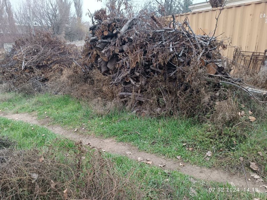 Oʻtin sotiladi. Продается дрова