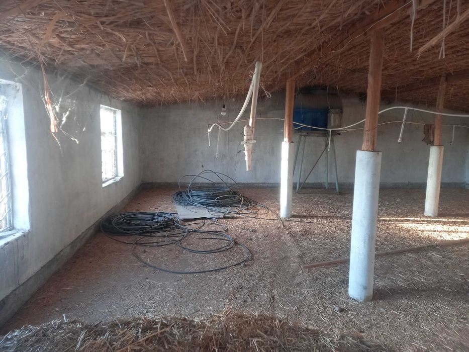 Tovuq ferma 20 sotix
