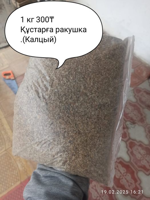 Ракушка тауык кептер арналған