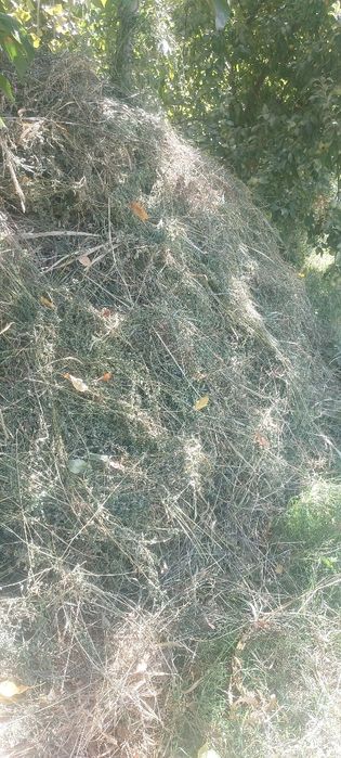 dag'al xashak biyda shamak utlar qara molga toza xashak