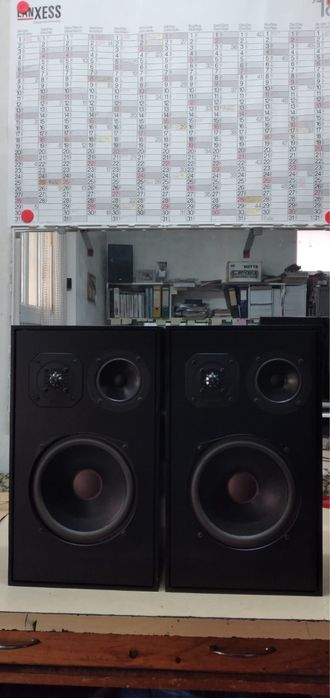 Boxe Magnat Monitor C