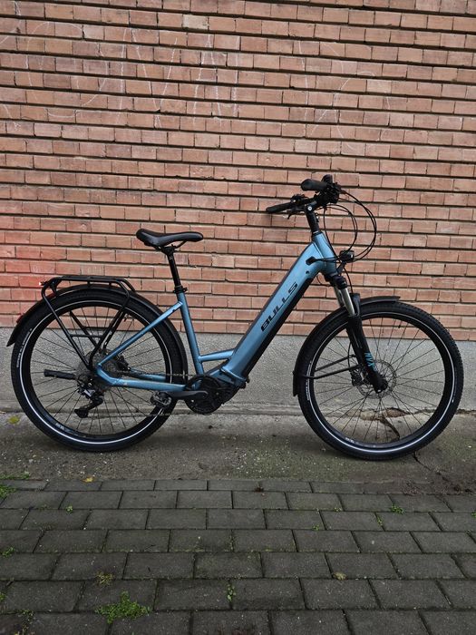 Vand Bulls Iconic Evo 1 2024