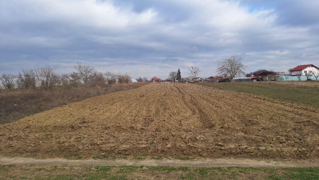 Teren intravilan de vânzare com. Copăceni județul Ilfov