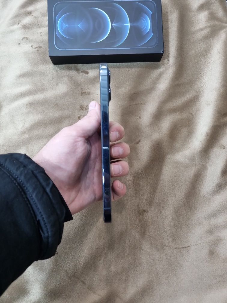 Iphone 12 Pro Max 256 Gb
