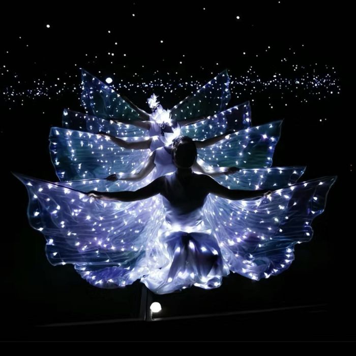 Диодые крылья, кнуты