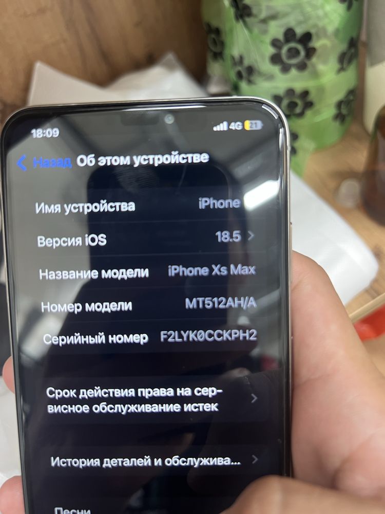 Iphone Xs max xs max