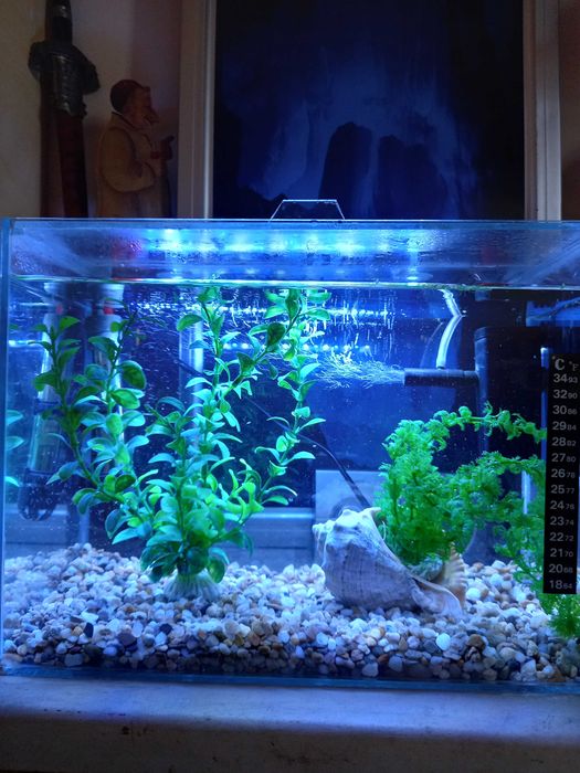 Продавам аквариум за рибки с оборудване