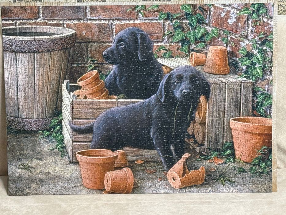 Отдам картины пазлы за шоколадку