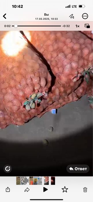 Картошка семенная