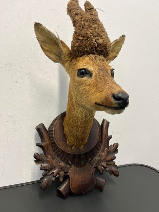 Трофей от сръндак