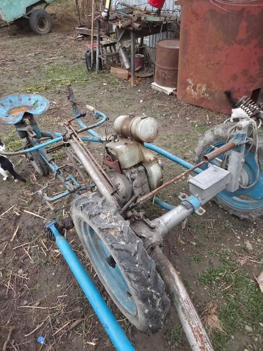 Cositoare pe benzina BGS.