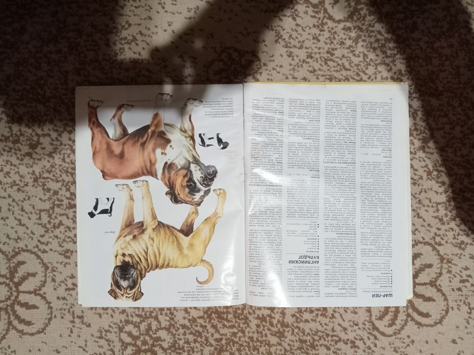 Книга"Ваша Собака"