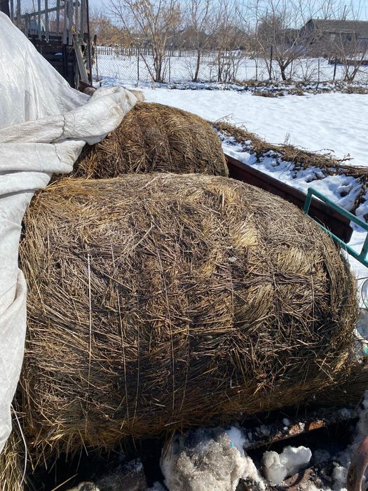 Продам Рулонное сена