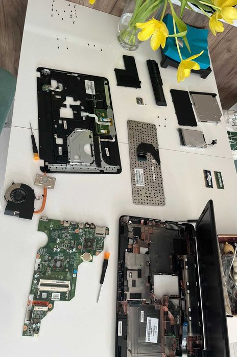 Компютърни услуги - Пловдив