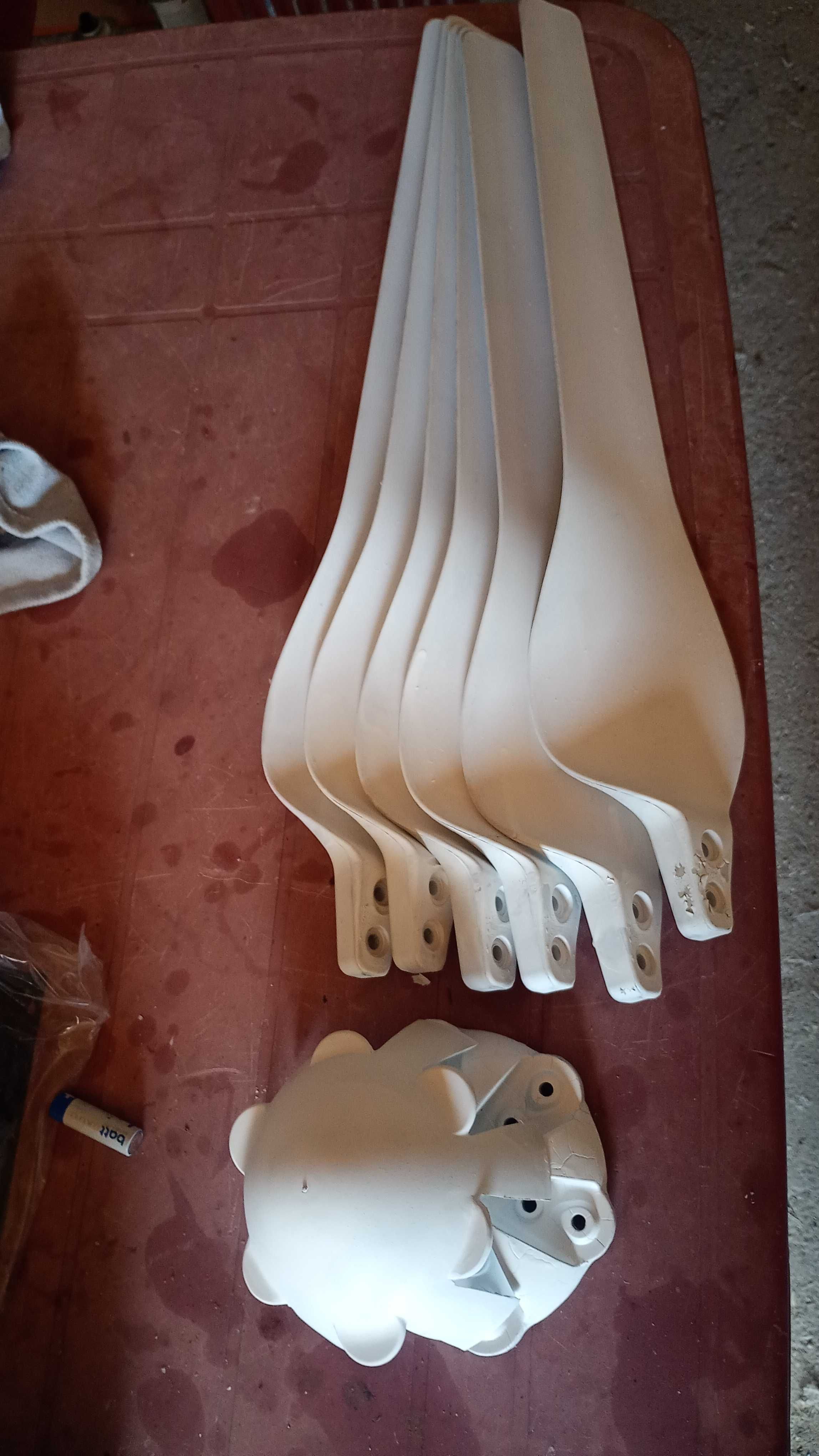 Eoliana  Set  6 pale complecte