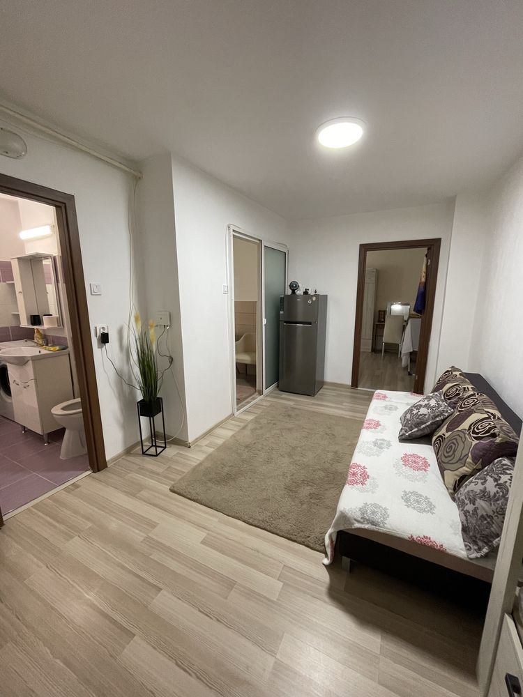 Apartament cu 1 camera zona Precista