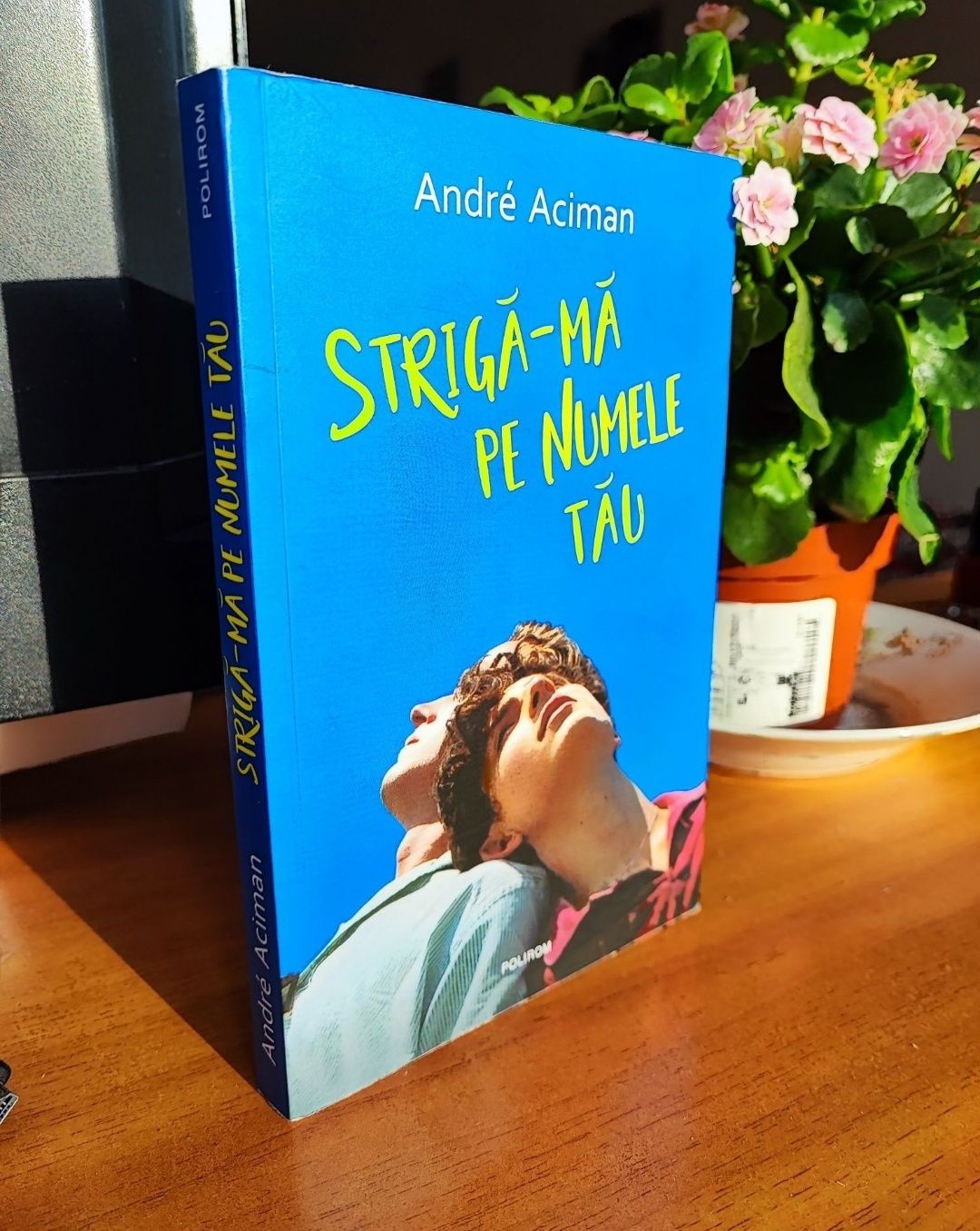 Strigă-mă pe numele tău - Call Me By Your Name - Andre Aciman