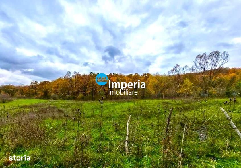Teren la Padure in Poiana cu Cetate,  9500 mp