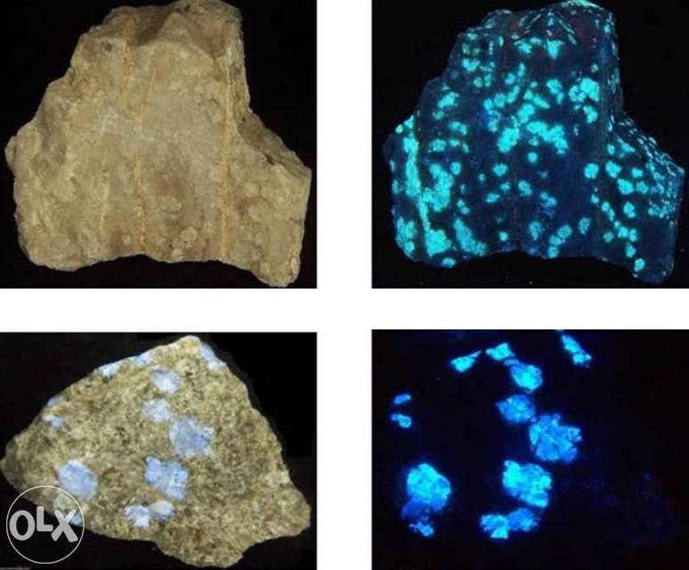 Lanterna UV cu Led 365nm - 1 Mod pe baterii AA