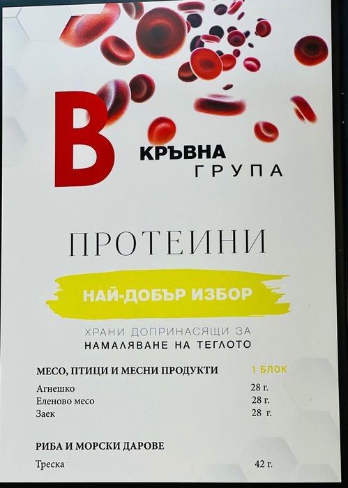 Хранителен наръчник, хранене по “Зоната” и “Кръвните групи”